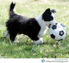 imagesCA3QCW09